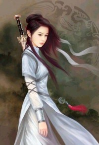 毒医狂妃风凌兮独孤城
